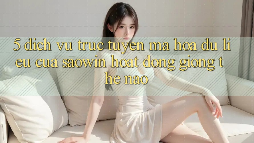 5. Dịch vụ trực tuyến Mã hóa dữ liệu Của Saowin Hoạt Động Giống Thế Nào? 5. Dịch vụ trực tuyến Mã hóa dữ liệu Của Saowin Hoạt Động Giống Thế Nào?