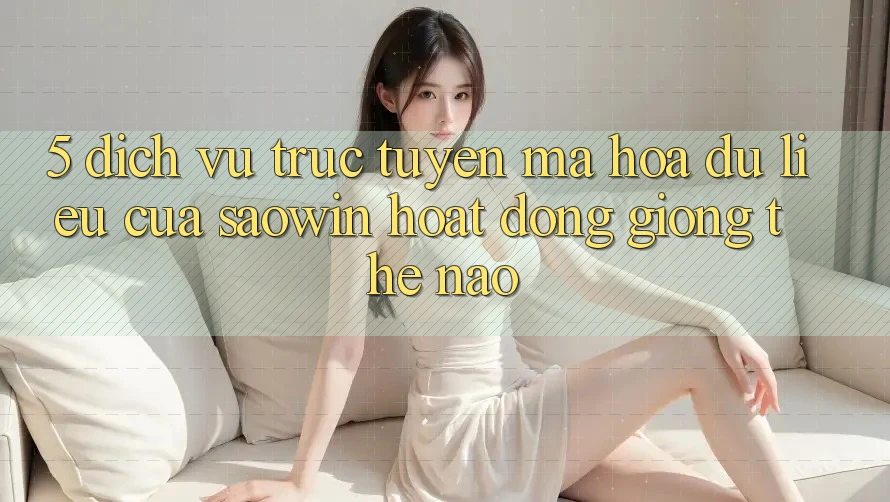 5. Dịch vụ trực tuyến Mã hóa dữ liệu Của Saowin Hoạt Động Giống Thế Nào? 5. Dịch vụ trực tuyến Mã hóa dữ liệu Của Saowin Hoạt Động Giống Thế Nào?
