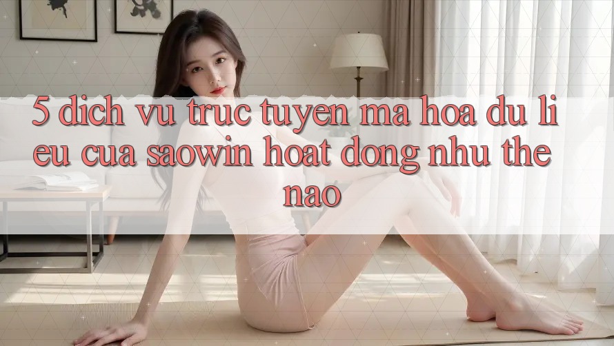 5. Dịch vụ trực tuyến Mã hóa dữ liệu Của Saowin Hoạt Động Như Thế Nào?