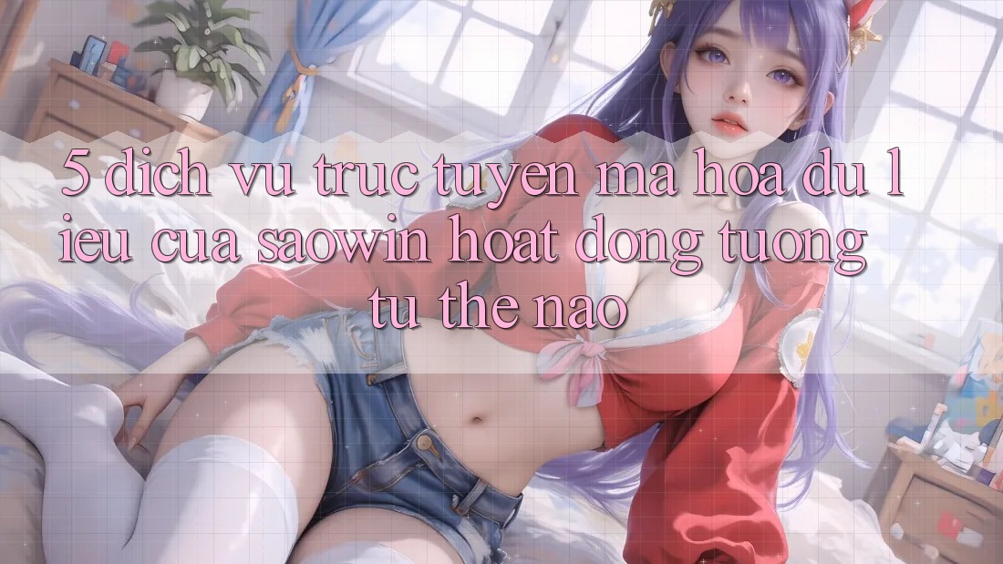5. Dịch vụ trực tuyến Mã hóa dữ liệu Của Saowin Hoạt Động Tương tự Thế Nào?