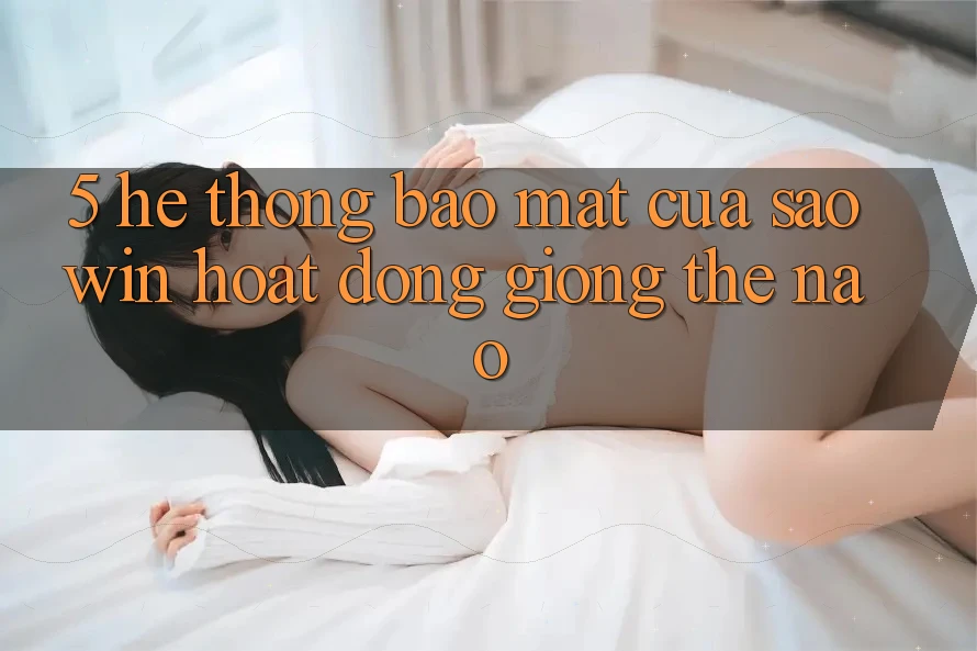 5. Hệ thống Bảo mật Của Saowin Hoạt Động Giống Thế Nào? 5. Hệ thống Bảo mật Của Saowin Hoạt Động Giống Thế Nào?