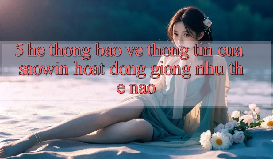 5. Hệ Thống Bảo vệ thông tin Của Saowin Hoạt Động Giống như Thế Nào?