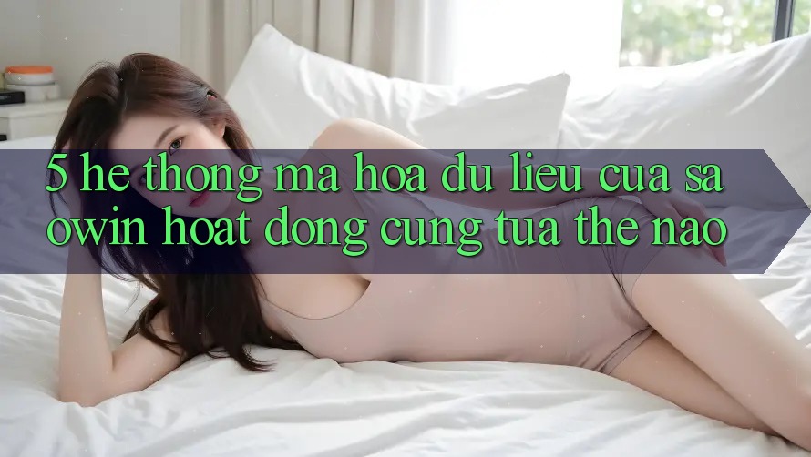 5. Hệ Thống Mã hóa dữ liệu Của Saowin Hoạt Động Cũng tựa Thế Nào? 5. Hệ Thống Mã hóa dữ liệu Của Saowin Hoạt Động Cũng tựa Thế Nào?