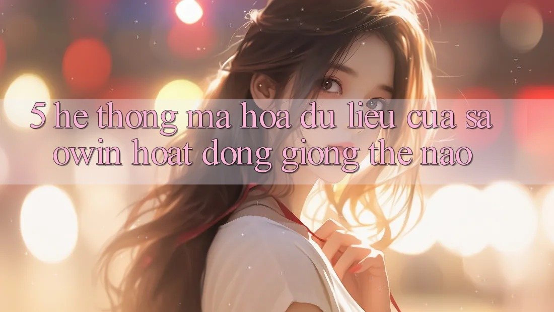 5. Hệ Thống Mã hóa dữ liệu Của Saowin Hoạt Động Giống Thế Nào? 5. Hệ Thống Mã hóa dữ liệu Của Saowin Hoạt Động Giống Thế Nào?