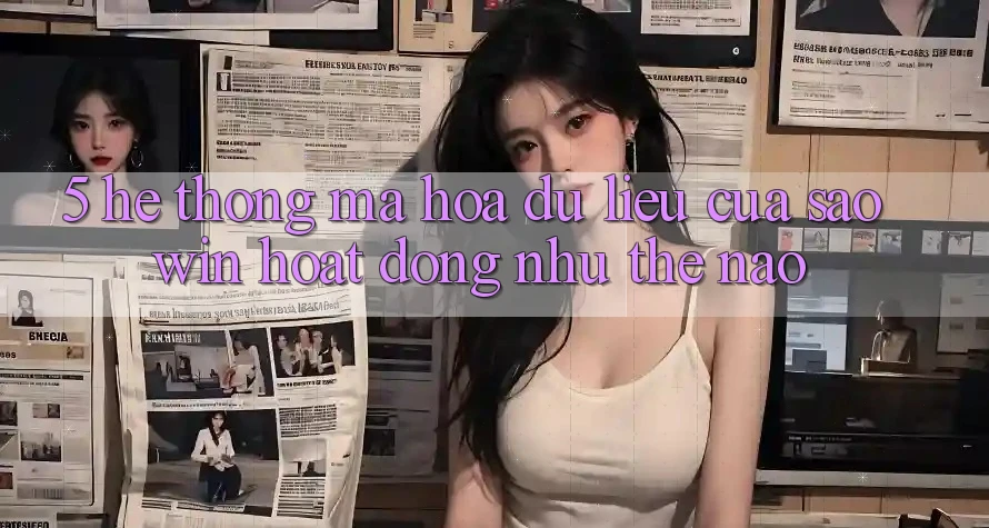 5. Hệ Thống Mã hóa dữ liệu Của Saowin Hoạt Động Như Thế Nào? 5. Hệ Thống Mã hóa dữ liệu Của Saowin Hoạt Động Như Thế Nào?