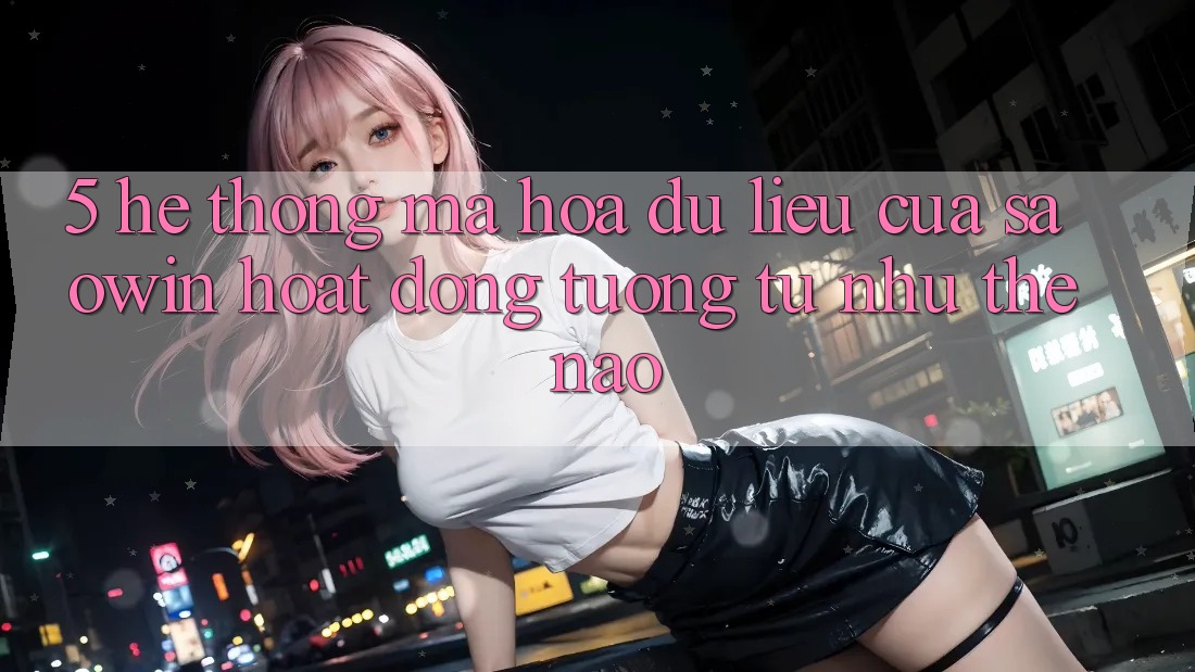 5. Hệ Thống Mã hóa dữ liệu Của Saowin Hoạt Động Tương tự như Thế Nào? 5. Hệ Thống Mã hóa dữ liệu Của Saowin Hoạt Động Tương tự như Thế Nào?