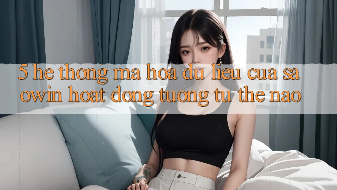 5. Hệ Thống Mã hóa dữ liệu Của Saowin Hoạt Động Tương tự Thế Nào? 5. Hệ Thống Mã hóa dữ liệu Của Saowin Hoạt Động Tương tự Thế Nào?