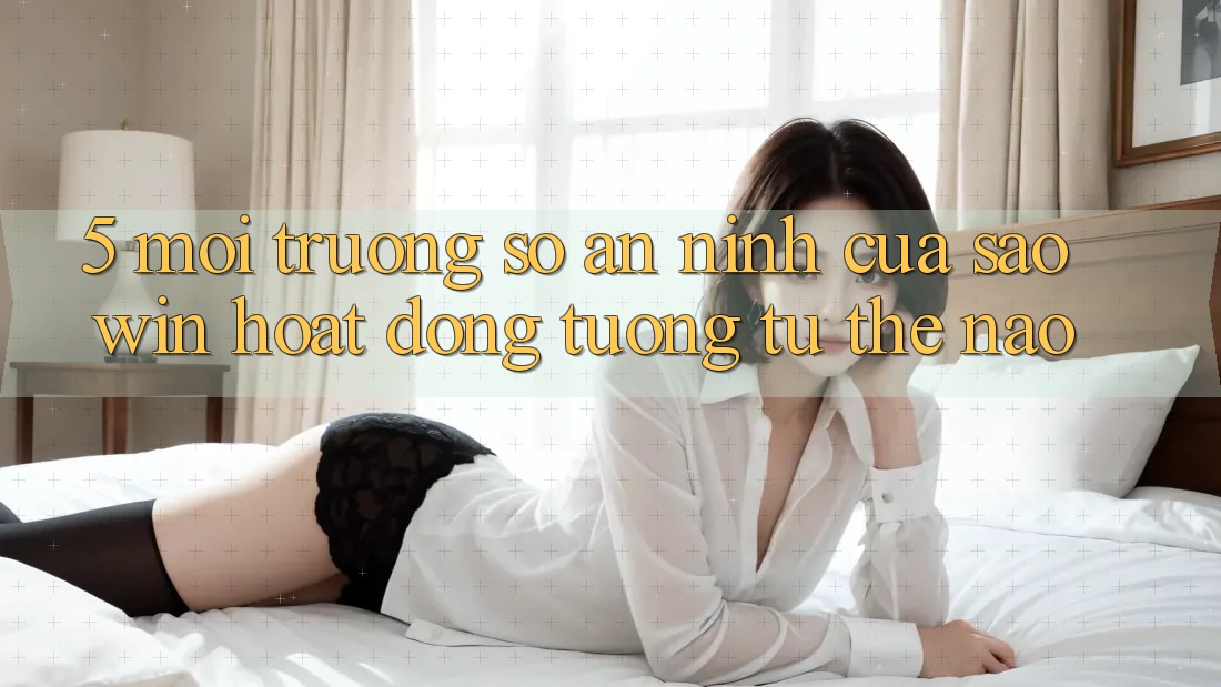 5. Môi trường số An ninh Của Saowin Hoạt Động Tương tự Thế Nào? 5. Môi trường số An ninh Của Saowin Hoạt Động Tương tự Thế Nào?
