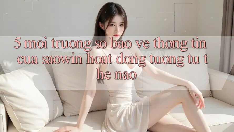 5. Môi trường số Bảo vệ thông tin Của Saowin Hoạt Động Tương tự Thế Nào?