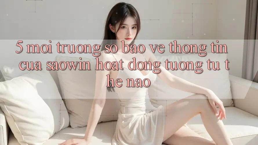 5. Môi trường số Bảo vệ thông tin Của Saowin Hoạt Động Tương tự Thế Nào? 5. Môi trường số Bảo vệ thông tin Của Saowin Hoạt Động Tương tự Thế Nào?