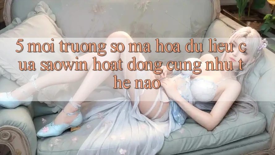 5. Môi trường số Mã hóa dữ liệu Của Saowin Hoạt Động Cũng như Thế Nào? 5. Môi trường số Mã hóa dữ liệu Của Saowin Hoạt Động Cũng như Thế Nào?
