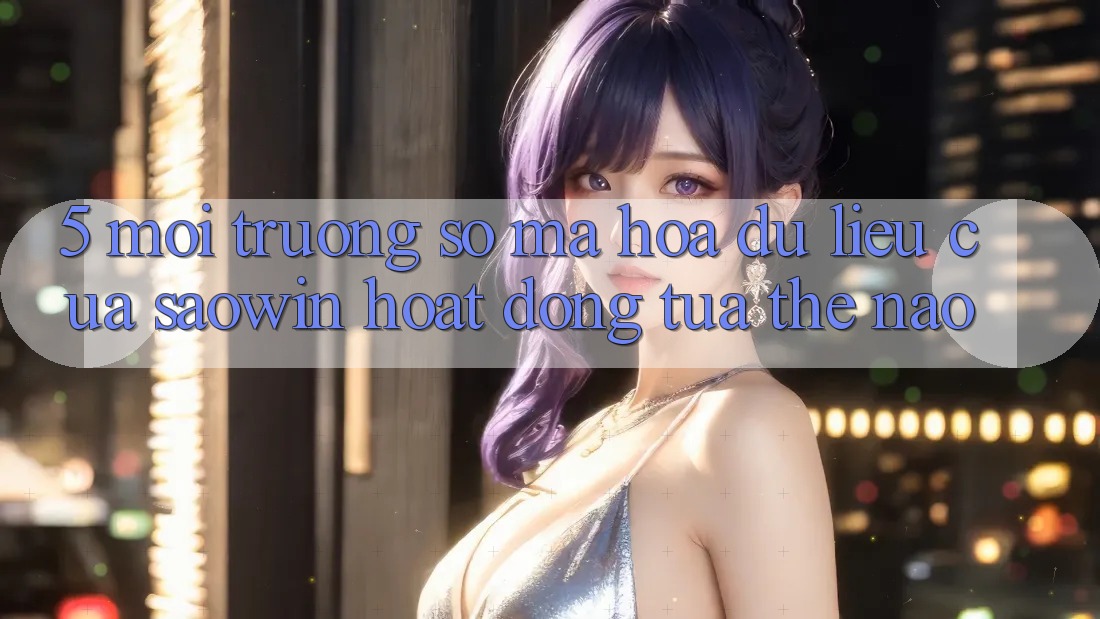 5. Môi trường số Mã hóa dữ liệu Của Saowin Hoạt Động Tựa Thế Nào?