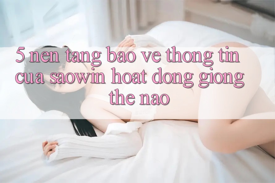 5. Nền tảng Bảo vệ thông tin Của Saowin Hoạt Động Giống Thế Nào?