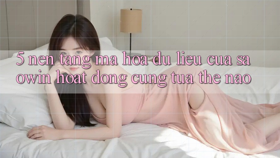 5. Nền tảng Mã hóa dữ liệu Của Saowin Hoạt Động Cũng tựa Thế Nào? 5. Nền tảng Mã hóa dữ liệu Của Saowin Hoạt Động Cũng tựa Thế Nào?