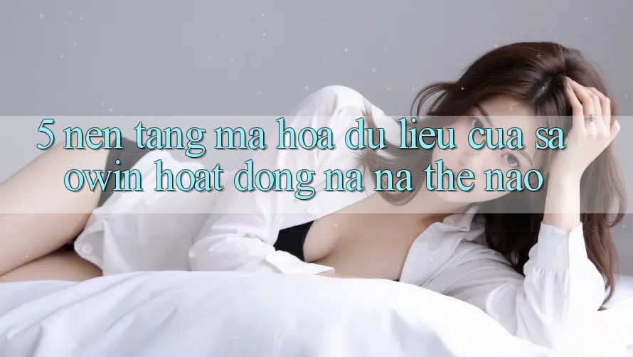 5. Nền tảng Mã hóa dữ liệu Của Saowin Hoạt Động Na ná Thế Nào? 5. Nền tảng Mã hóa dữ liệu Của Saowin Hoạt Động Na ná Thế Nào?