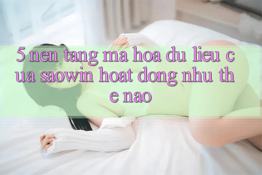 5. Nền tảng Mã hóa dữ liệu Của Saowin Hoạt Động Như Thế Nào?