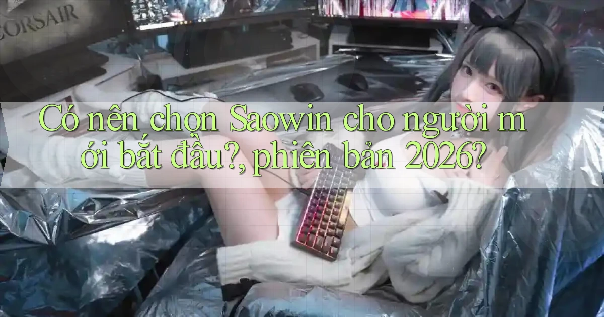 Có nên chọn Saowin cho người mới bắt đầu, phiên bản 2026