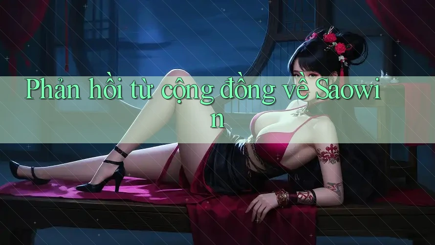 Phản hồi từ cộng đồng về Saowin