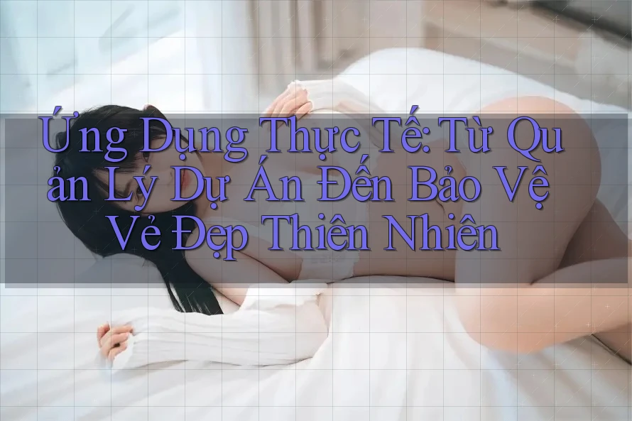 Ứng Dụng Thực Tế: Từ Quản Lý Dự Án Đến Bảo Vệ Vẻ Đẹp Thiên Nhiên Ứng Dụng Thực Tế: Từ Quản Lý Dự Án Đến Bảo Vệ Vẻ Đẹp Thiên Nhiên